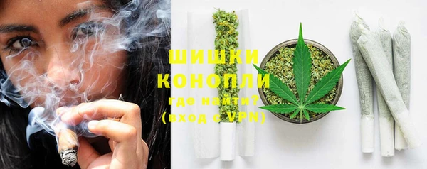 тгк Бронницы
