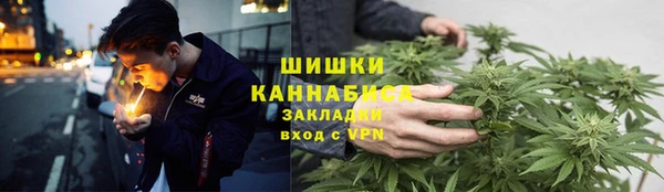 mdpv Богородицк