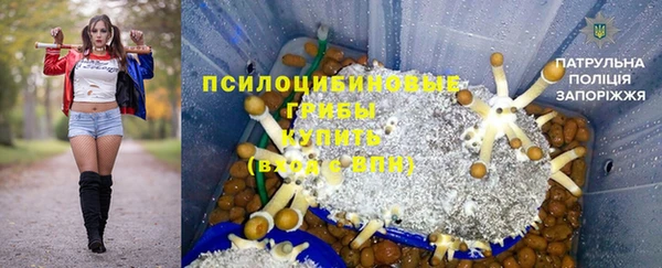 альфа пвп Бородино