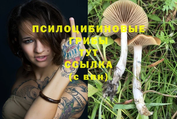 тгк Бронницы